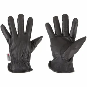 BDG 20-9-1650-M Leather Gloves, Size M, Premium, Drivers Glove, Goatskin, Keystone Thumb, Unlined, Black | CR9JEX 61JZ49