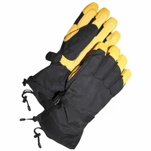 BDG 80-9-041101-X2L Ski Gloves | CT3XWH 793VH8