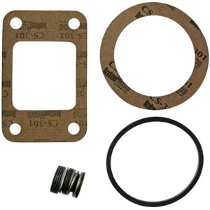 BELL & GOSSETT 180013 Rebuild Seal Kit | AJ2JJH 6HKZ3