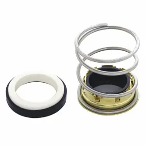 BELL & GOSSETT 186543LF Seal Kit | CV3WXE 42FL04