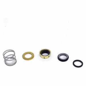 BELL & GOSSETT 186834LF Seal Kit | CV3WXF 42FK94