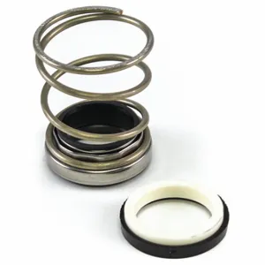 BELL & GOSSETT 186860 Seal Kit | CV3WXG 42FL08