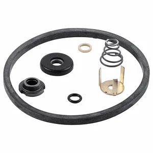 BELL & GOSSETT 189174LF Seal Kit | CN9JNU 788NU2