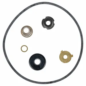 BELL & GOSSETT 189577LF Seal Kit | CN9JNV 788NU1