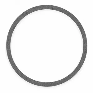 BELL & GOSSETT P04890 Gasket | CJ2GWD 3CFA8