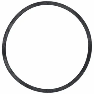 BELL & GOSSETT P15691 Gasket, In-Line Circulating Pumps, P15691 | CN9JKV 311R76