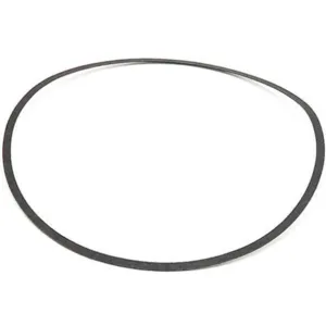 BELL & GOSSETT P48690 Gasket | AE9CJC 6HKZ6