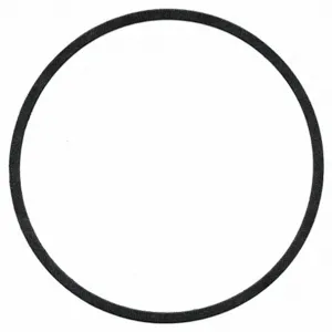 BELL & GOSSETT P58542 Gasket | CJ2GWB 6JHG1