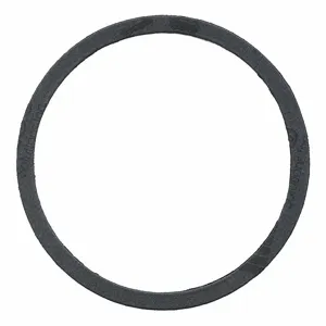 BELL & GOSSETT P80815 Gasket | CJ2GWE 6JHF8