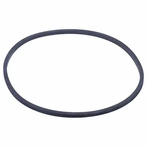 BELL & GOSSETT P83025 Gasket, In-Line Circulating Pumps, P83025 | CN9JKW 788NU4