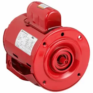 BELL & GOSSETT W69224 Circulating Pump Motor, Bell and Gossett, 169224 | CN9JNF 788NR0