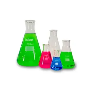 BENCHMARK SCIENTIFIC B3110-2000 Erlenmeyer Flask, 2000ml | CH6FRG