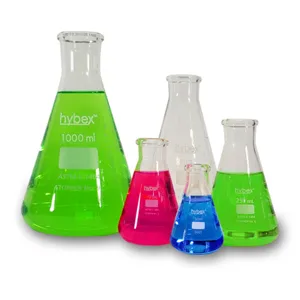 BENCHMARK SCIENTIFIC B3110-1000 Erlenmeyer Flask, 1000ml, Pack Of 6 | CH6FRF