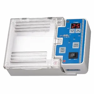 BENCHMARK SCIENTIFIC E1101 Mini Electrophoresis System | CJ4KMD