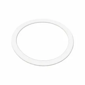 BENCHMARK SCIENTIFIC IPD9600-25G Gasket, 25ml Grinding Jar | CE9BDP