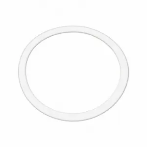 BENCHMARK SCIENTIFIC IPD9600-50G Gasket, 50ml Grinding Jar | CE9BDN