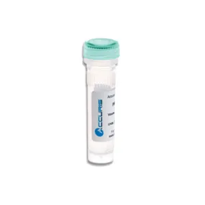 BENCHMARK SCIENTIFIC PR2000-H-500 PCR Reagents, Green, High Rox qPCR Mix, 500 Reactions | CD7LEY