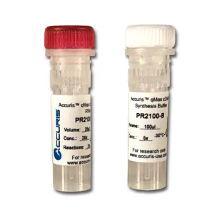 BENCHMARK SCIENTIFIC PR2100-C-25 cDNA Synthesis Kit, 25 Reactions | CD7LFY