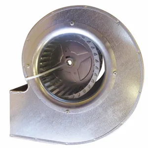 BERNER 29B712S058G-L Blower Wheel with Housing, 1 Ph, Gallonvanized Steel, 4 1/2 Inch x 4 1/2 in | CN9KAP 36FW80