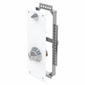 BESTCARE WH418-CSH Individual Wall Shower Panel With Ligature Resistant Showerhead, BestCare, WH418 | CN9KKN 52JM43