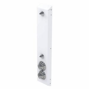 BESTCARE WH458-FH-CSH Individual Wall Shower Panel With Ligature Resistant Showerhead, BestCare, WH458 | CN9KKM 52JM42