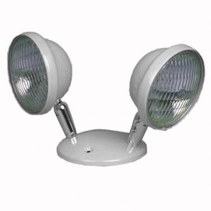 BIG BEAM LS53DHF6W Remote Head, LED, Stahl, Decke/Ende/Wand, 5 W Lampenwatt, 2 Lampen, 6 V, Adj, Weiß | CN9MMD 783HP9