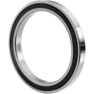 BL BEARINGS SS61901 2RS FM222 Radial Ball Bearing Stainless Steel 12mm Ss61901 2rs | AG4ZJG 35JD86