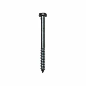 BOSCH 1613435009 Screw | CN9ZFD 41NE31