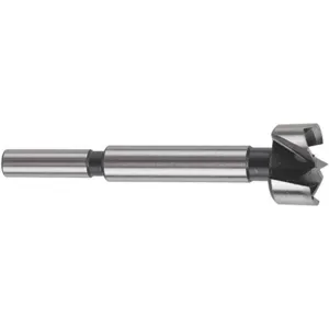 BOSCH FB014 Forstner Bit Alloy Steel 4 Inch Length | AH7BTV 36RF07