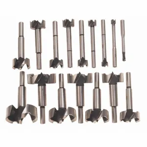 BOSCH FB1600 Forstner Drill Bit Set, 3/8 Inch Shank Dia, Quick-Change Hex Shank, 16 Drill Bits | CN9WPM 44K644