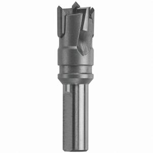 BOSCH T15215 Hinge Boring Drill Bit, 15 mm Drill Bit Size, 2 1/4 Inch Overall Length, 10 mm Shank Dia | CN9WGB 44H604