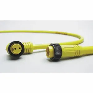 BRAD HARRISON 104001A01F200 Cordset, 7/8 Inch -16 Female Right Angle X Bare Wire, 4 Pins, Yellow, PVC | CP2AUK 2ENN9