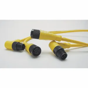 BRAD HARRISON 885030A09M020 Extension Cordset, M12 Male Straight X M12 Female Straight, 5 Pins, Yellow, PVC | CP2AUP 2EPJ8