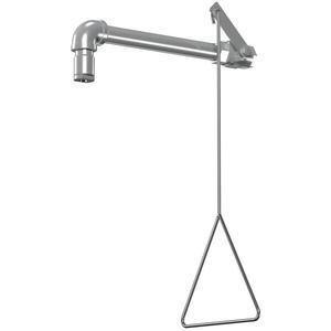 BRADLEY S19-120SSZ Drench Shower, Stainless Steel, BSPP Connection | CD4DTE