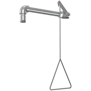 BRADLEY S19-120SSZ Drench Shower, Stainless Steel, BSPP Connection | CD4DTE