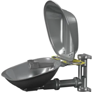 BRADLEY S19224DCZS Halo Eyewash, Stainless Steel Bowl With Dust Cover | CD4DVU