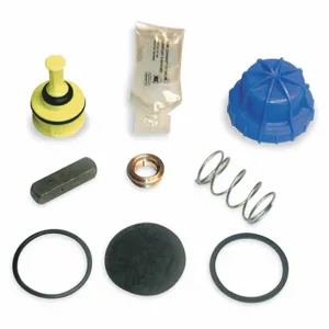 BRADLEY S65-230 Foot Valve Repair Kit | AC2YRK 2PA13