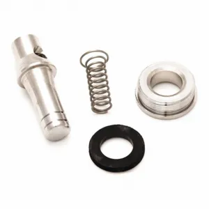 BRADLEY S65-258GR Soap Valve Repair Kit | CJ3LRV 31KP56