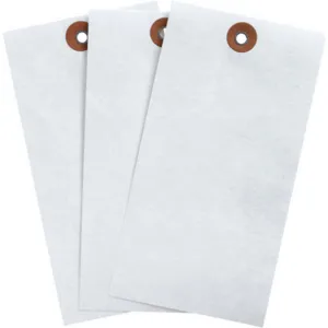 BRADY 102038 Blank Tag Tyvek White 5-3/4 Inch Height PK1000 | AH4ZHZ 35RZ52