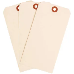 BRADY 102047 Blank Tag Cardstock Manila PK1000 | AH4ZHR 35RZ45