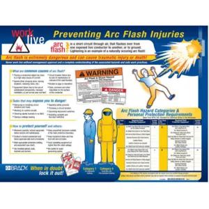 BRADY 104571 Training Poster 18 x 24 Inch Laminated Ppr | AC8ULY 3DVZ9