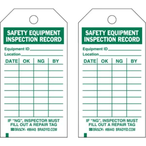 BRADY 86443 Saf Eapt Inspection Received Tag Green/white - Pack Of 10 | AF4RVP 9HUP6