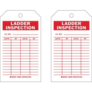 BRADY 86503 Inspection Tag 7 Inch Height x 4 Inch Width HD Poly. PK10 | AG9KUF 20TH04