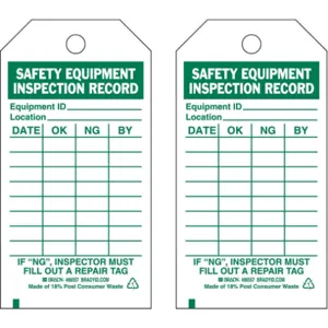 BRADY 86557 Saf Eapt Inspection Received Tag Green/white - Pack Of 10 | AF6BMQ 9W470