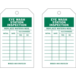 BRADY 86619 Inspection Tag 7 Inch Height x 4 Inch Width Eco. Poly. PK10 | AG9KUN 20TH11