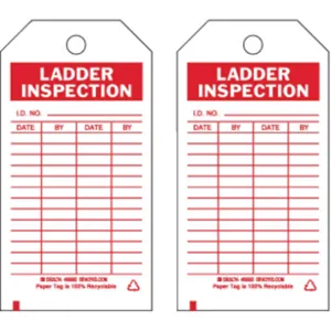 BRADY 86665 Lad Inspection Tag 5-3/4 x 3 Inch - Pack Of 100 | AF4UDV 9K964