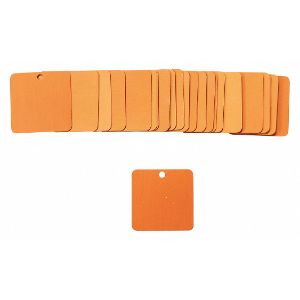 BRADY 87636 Black Tag 2 x 2 Inch Orange Aluminium Square 3/16 Inch - Pack Of 25 | AA7HGX 15Y738