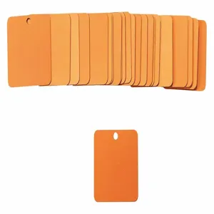 BRADY 87636 Black Tag 2 x 2 Inch Orange Aluminium Square 3/16 Inch - Pack Of 25 | AA7HGX 15Y738