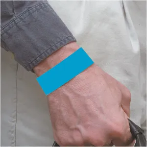 BRADY 95100 Wristband Blue Numbered - Pack Of 500 | AD2QWE 3TLY1