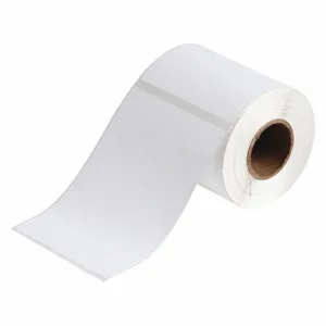 BRADY J20-262-2569 Precut Label Roll, 6 3/32 x 4 1/8 Inch Size, Polyester, White, 340 Labels | CP2KKE 493R05